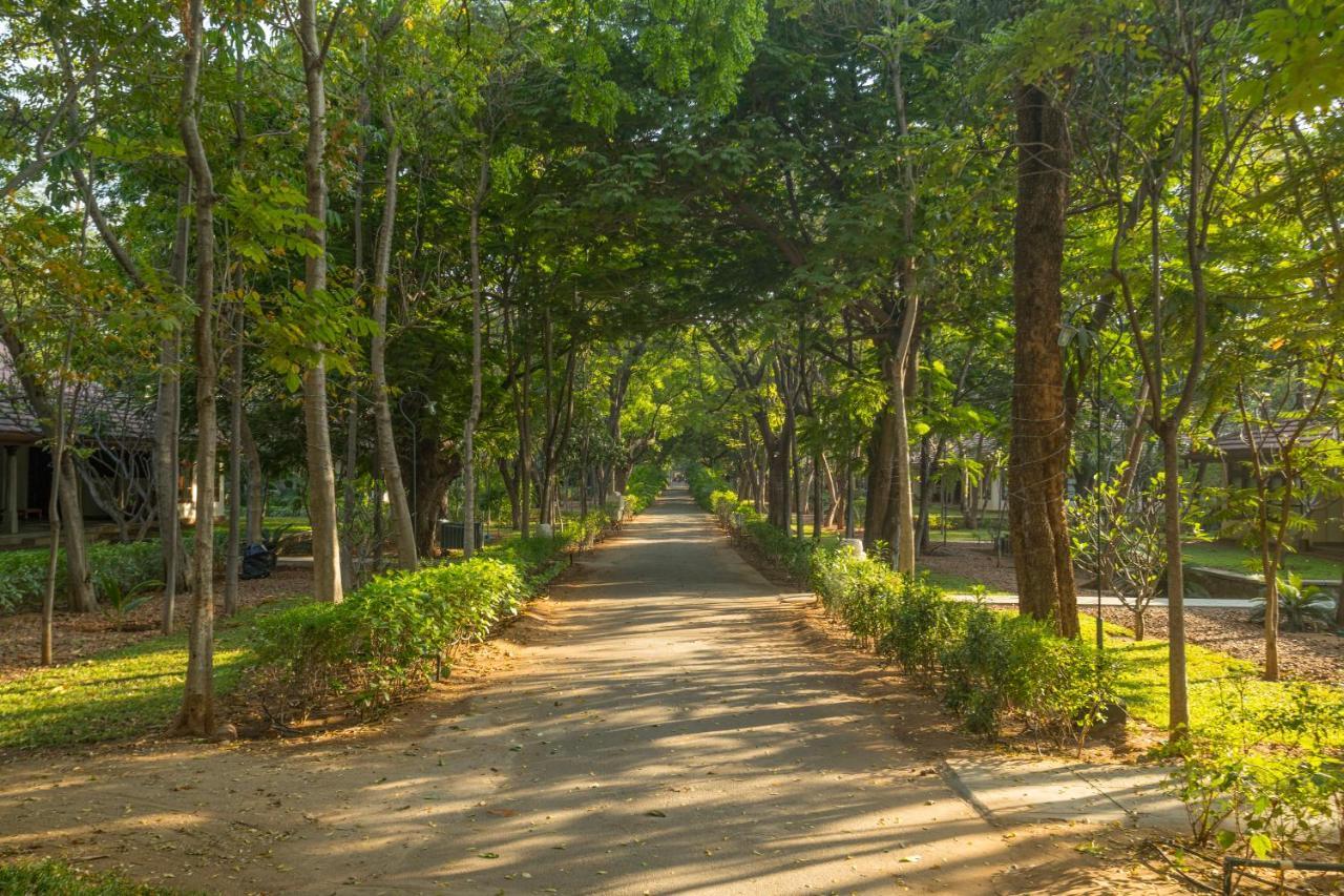 헤리티지 마두라이 호텔 외부 사진 A road in the park